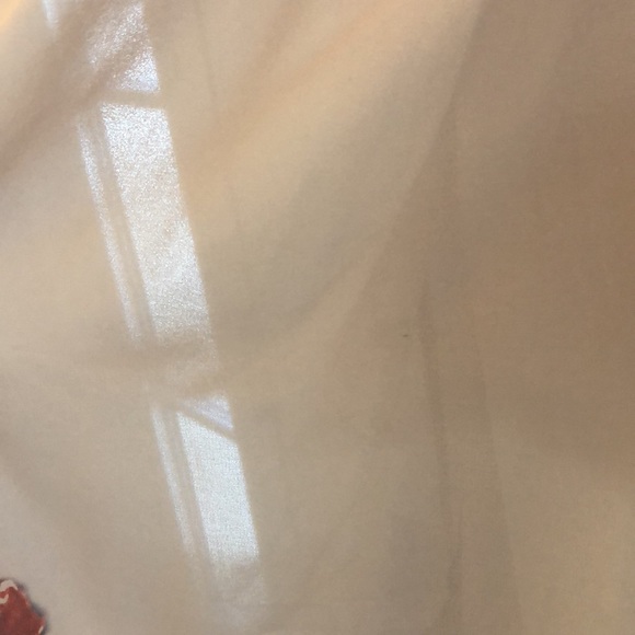 Stunning Free People NWT Maxi, Nude with black and red flowers, strapless - Picture 15 of 15